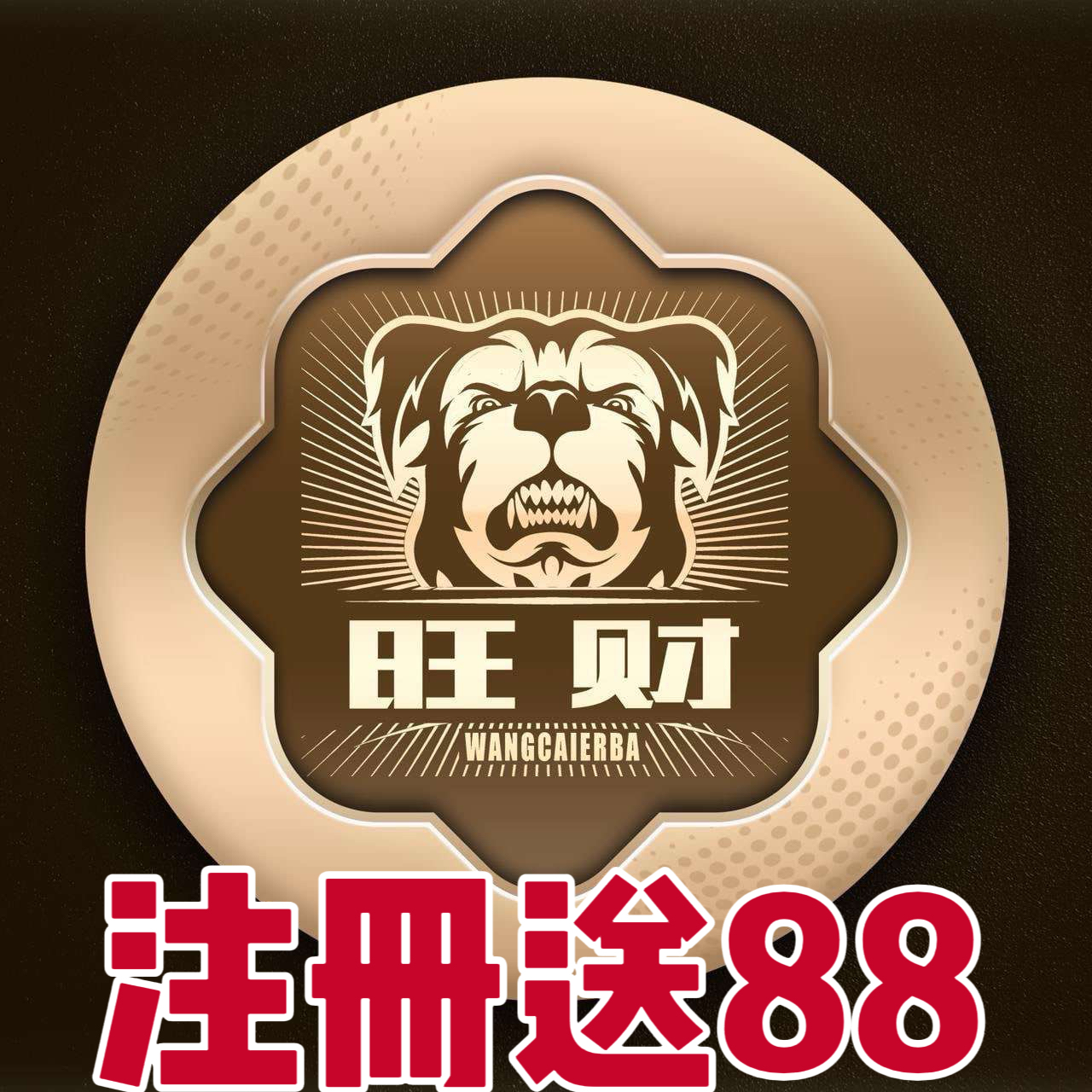 旺财28